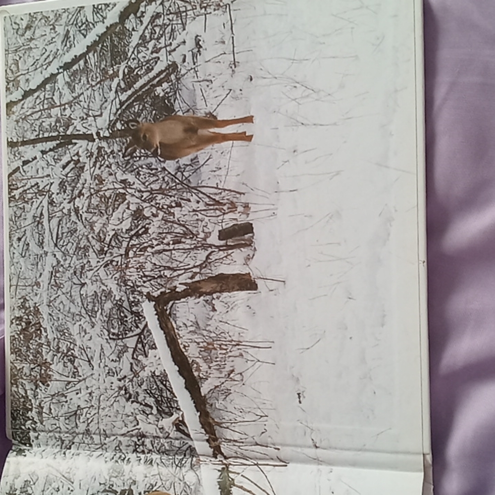 Book - Picture 4 of 4